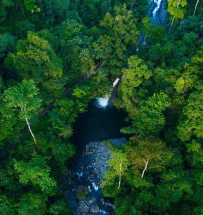 Aerial Rainforest Serenity Tropical Waterfall Print
