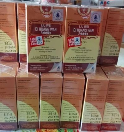 Liu Wei Di Huang Wan Strengthening Kidney Function 2 Box