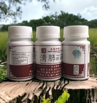 Qing Fei Pai Du Tang Immunity Booster 1 Bottle
