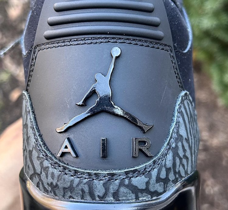 Air Jordan 3 black Cat