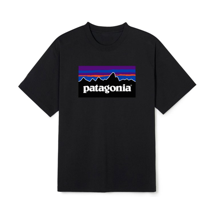 Patagonia Fishing T Shirt