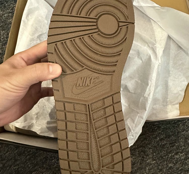 Jordan 1 Retro High Og Palomino Gs