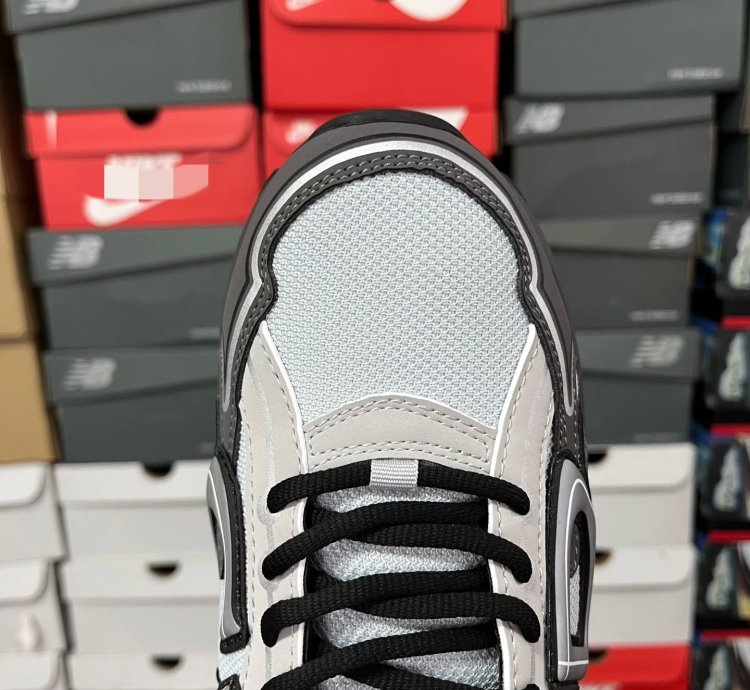 Dior B30 Low-top Sneakers Grey Anthacite