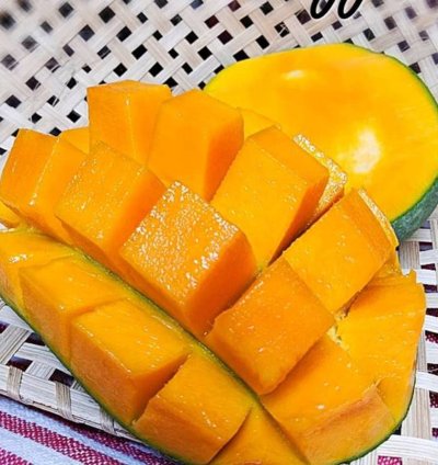 Harumanis Manggo Grafted Rare Tropical Fruit Plant