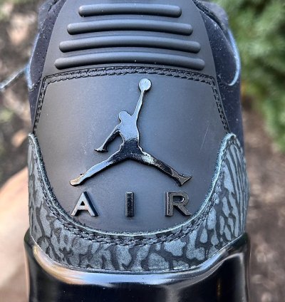 Air Jordan 3 black Cat
