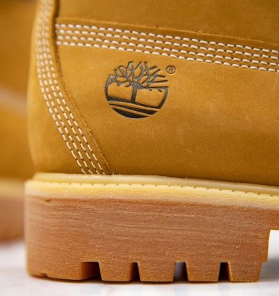 Timberland 6 Inch Premium Waterproof Boots