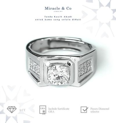 Bright Simple Male Moissanite Ring Silver 925