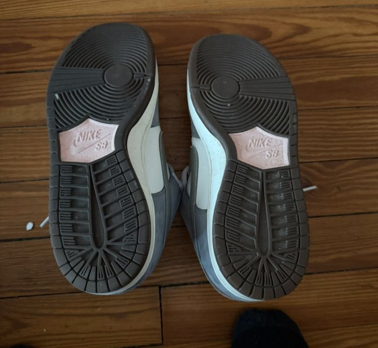 Yuto Horigome Dunks Sz 9 5