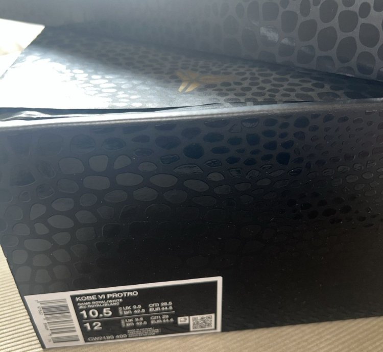 Zoom Kobe 6 Protro Dodgers