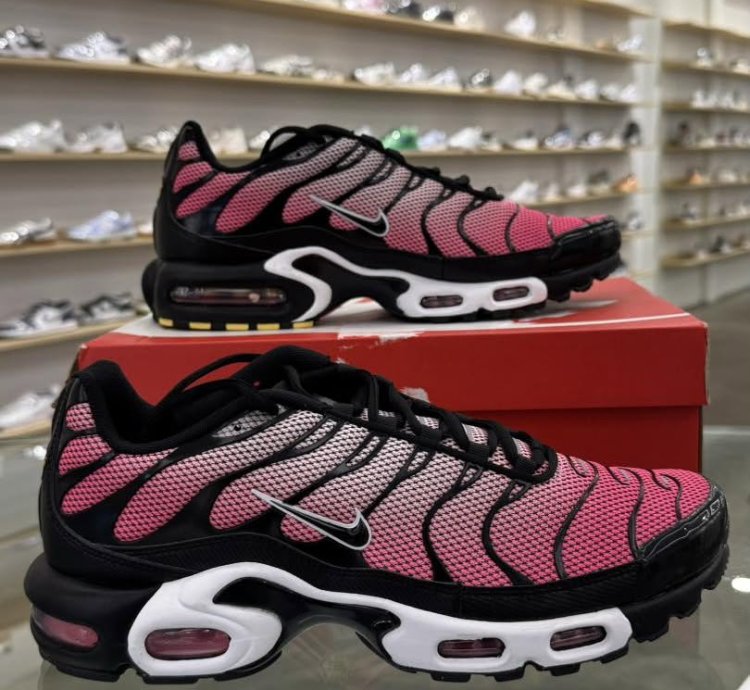 Nike Air Max Plus All Day