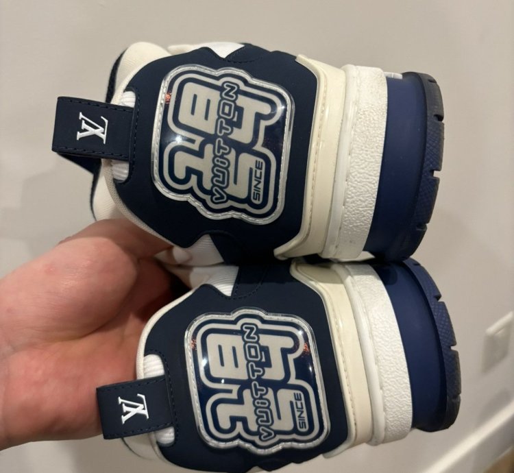 White And Blue Skate Sneakers