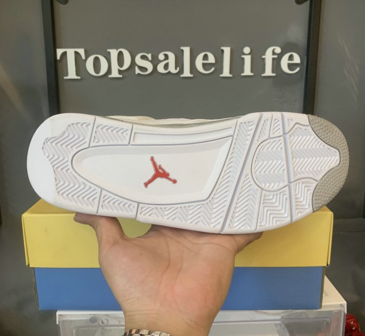 Nike Jordan 4 Retro Dj4699-100