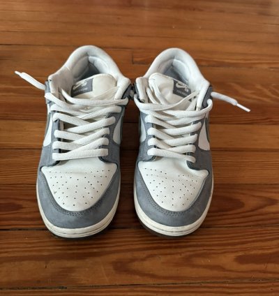 Yuto Horigome Dunks Sz 9 5