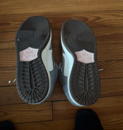 Yuto Horigome Dunks Sz 9 5