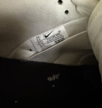 Yuto Horigome Dunks Sz 9 5
