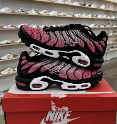 Nike Air Max Plus All Day