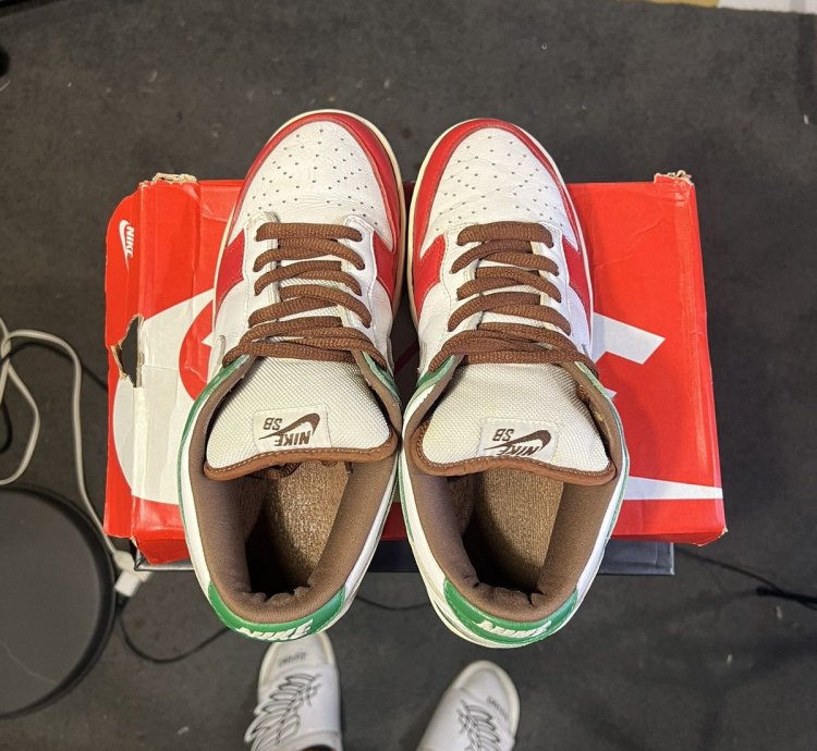 2005 Nike Sb Dunk Cinco De Mayo