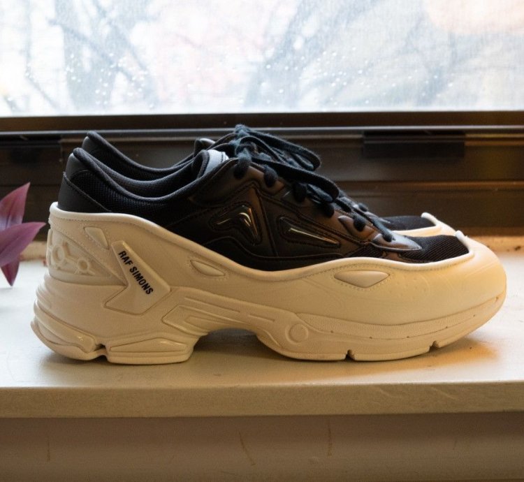 runner Pharaxus