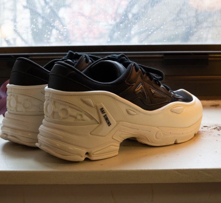 runner Pharaxus