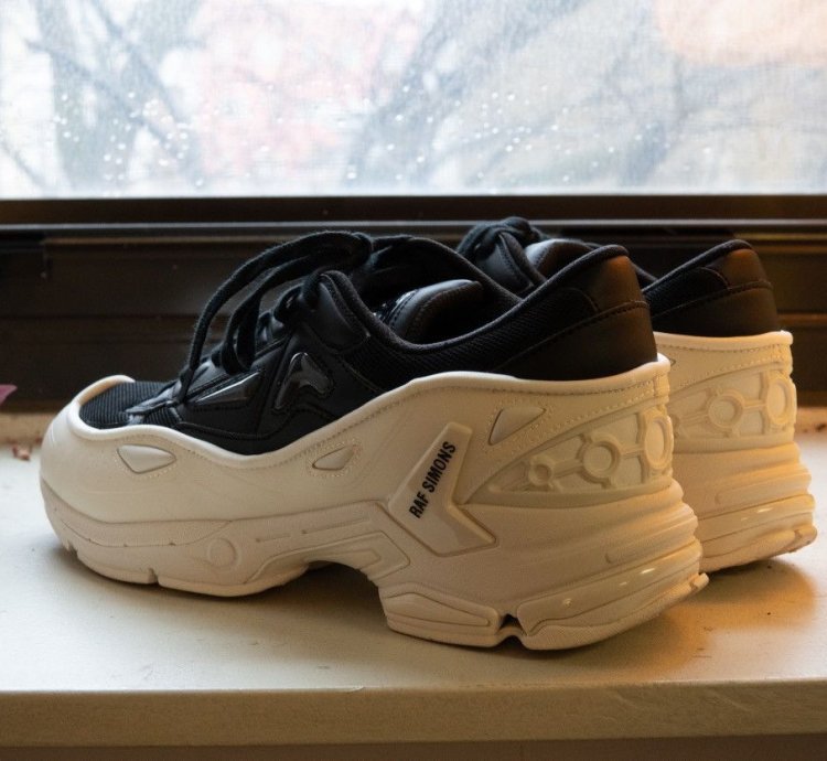 runner Pharaxus