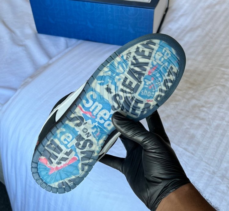 Nike Sb Dunk Panda Pigeon