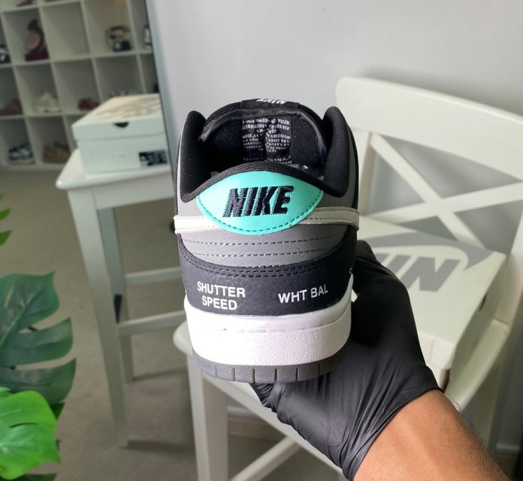 Nike Dunk Low Sb Camcorder