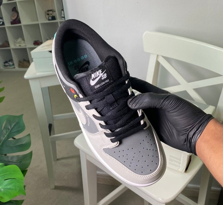 Nike Dunk Low Sb Camcorder