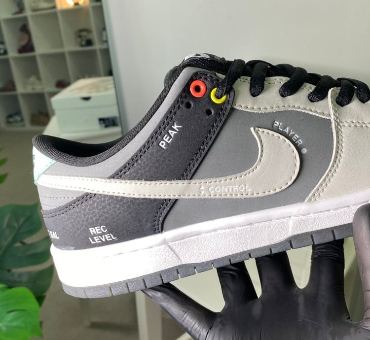Nike Dunk Low Sb Camcorder