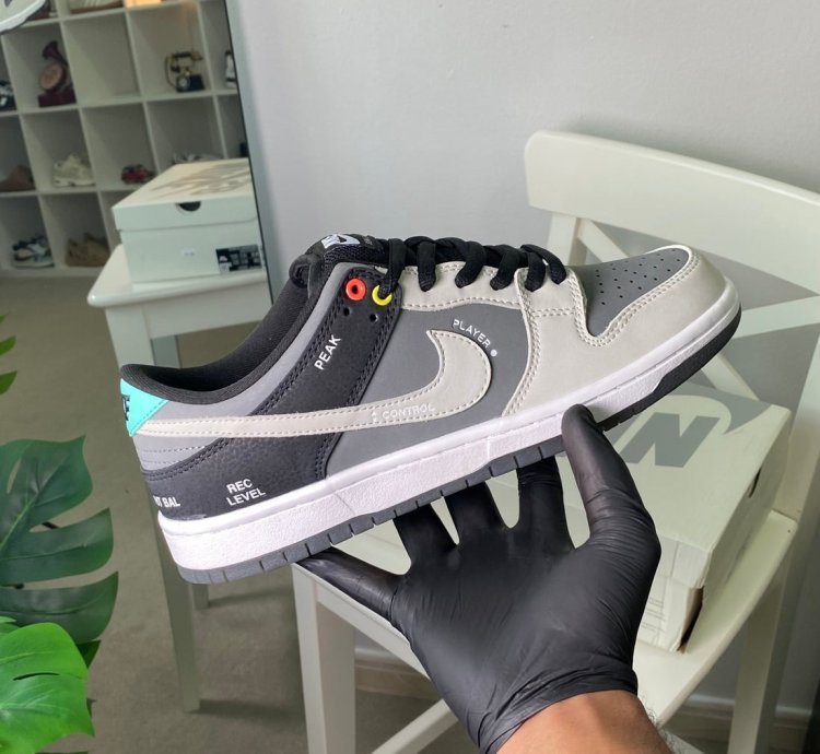 Nike Dunk Low Sb Camcorder