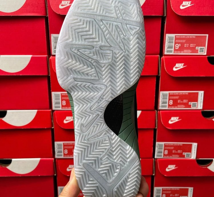 Nike Zoom Kobe 4 Protro Bicoastal