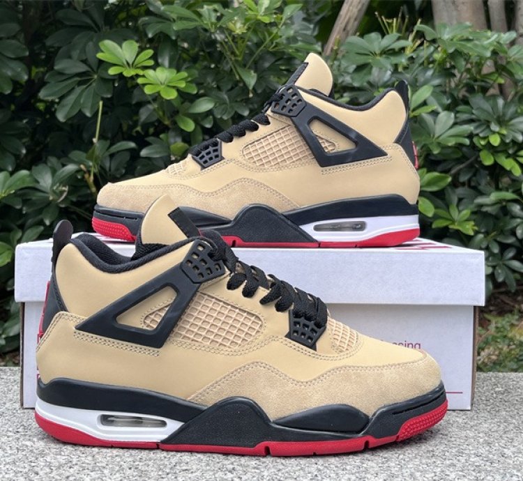 Air Jordan 4 Pizza