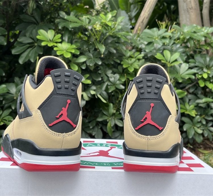 Air Jordan 4 Pizza