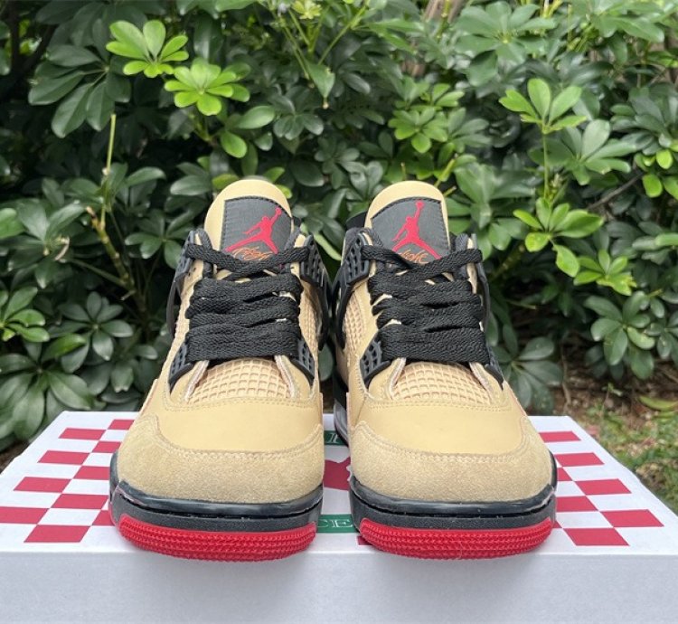 Air Jordan 4 Pizza