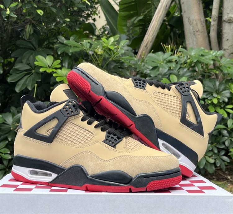 Air Jordan 4 Pizza