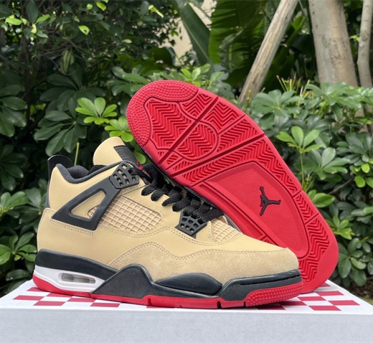 Air Jordan 4 Pizza