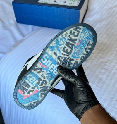 Nike Sb Dunk Panda Pigeon