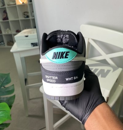 Nike Dunk Low Sb Camcorder