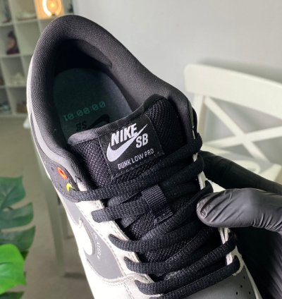 Nike Dunk Low Sb Camcorder