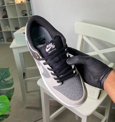 Nike Dunk Low Sb Camcorder