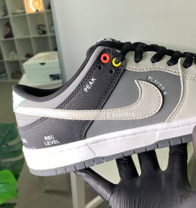 Nike Dunk Low Sb Camcorder