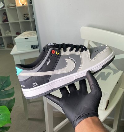 Nike Dunk Low Sb Camcorder