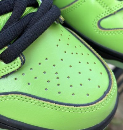 Nike Sb Dunk Low The Powerpuff Girls Green Buttercup Fz8319-3009