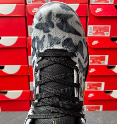 Nike Kobe 8 Protro