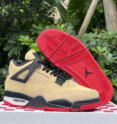 Air Jordan 4 Pizza