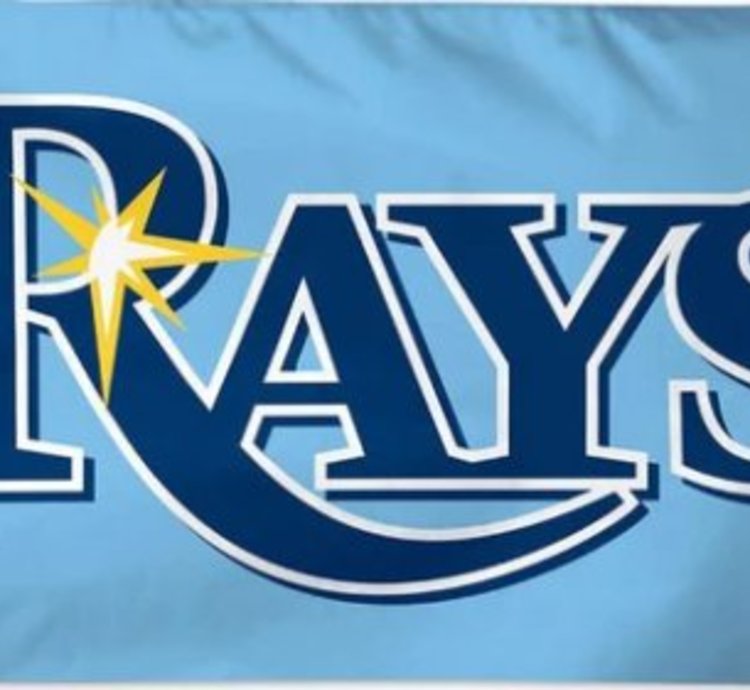 Tampa Bay Rays Us Flag 3x5ft Banner Usa Polyester With Brass Grommets