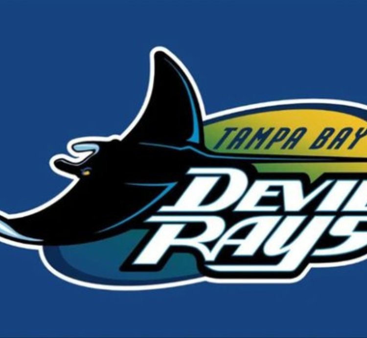 Tampa Bay Rays Devil Rays Flag 3x5ft Banner Usa Polyester With Brass Grommets