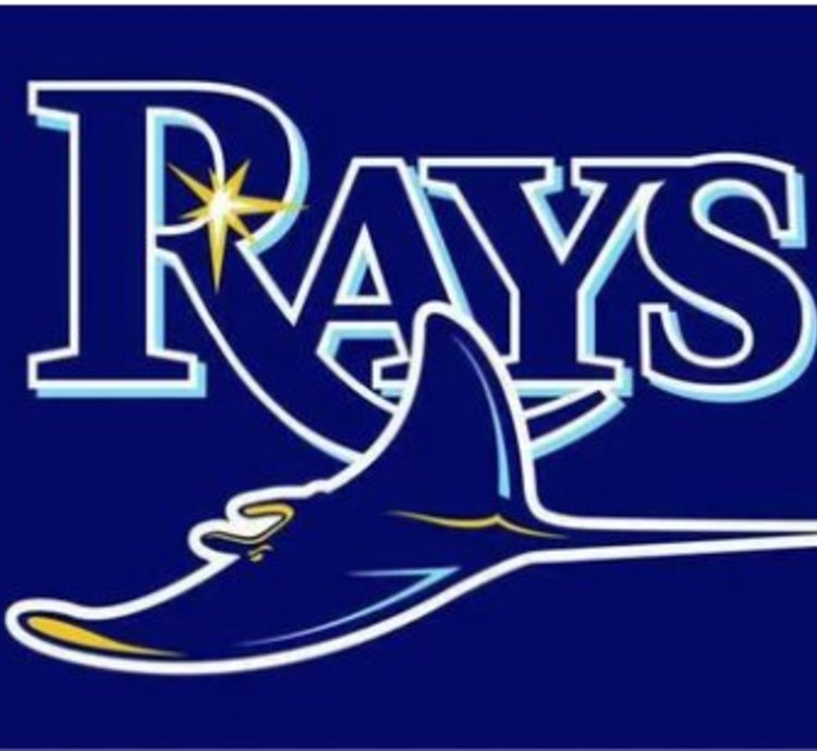 Tampa Bay Rays Flag 3x5ft Banner Usa Polyester With Brass Grommets