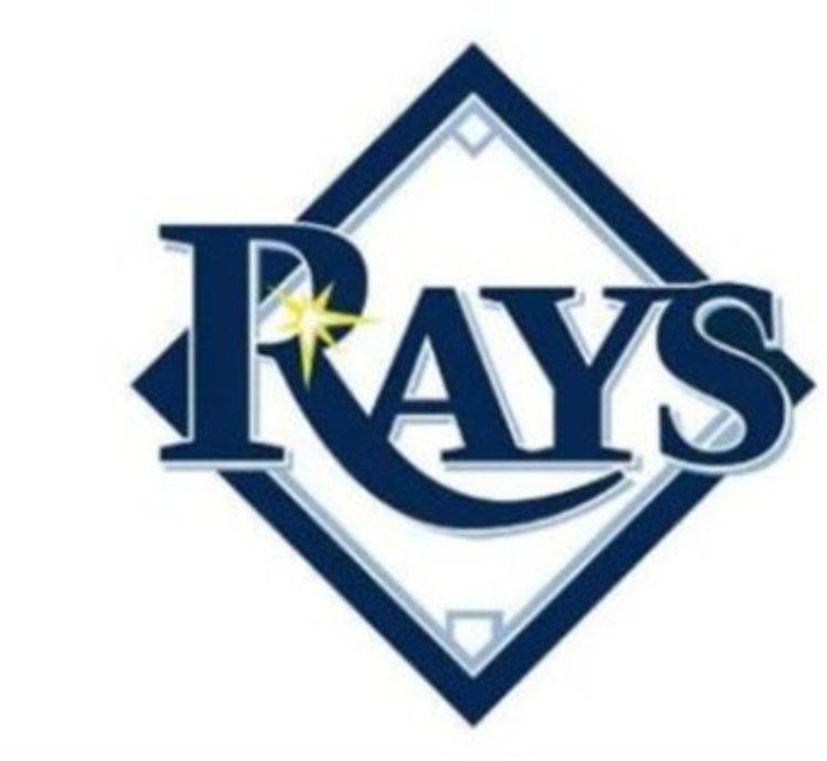 Tampa Bay Rays White Us Flag 3x5ft Banner Usa Polyester With Brass Grommets
