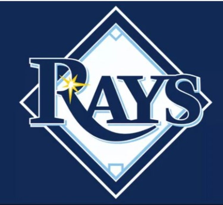 Tampa Bay Rays Blue Flag 3x5ft Banner Usa Polyester With Brass Grommets