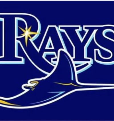 Tampa Bay Rays Flag 3x5ft Banner Usa Polyester With Brass Grommets